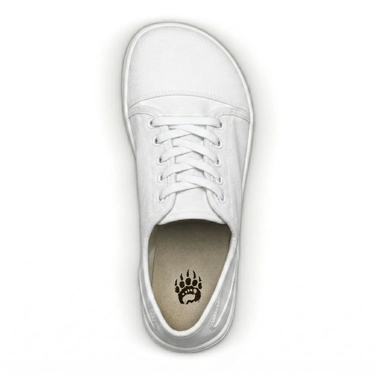 Ursus CLTG2 - White